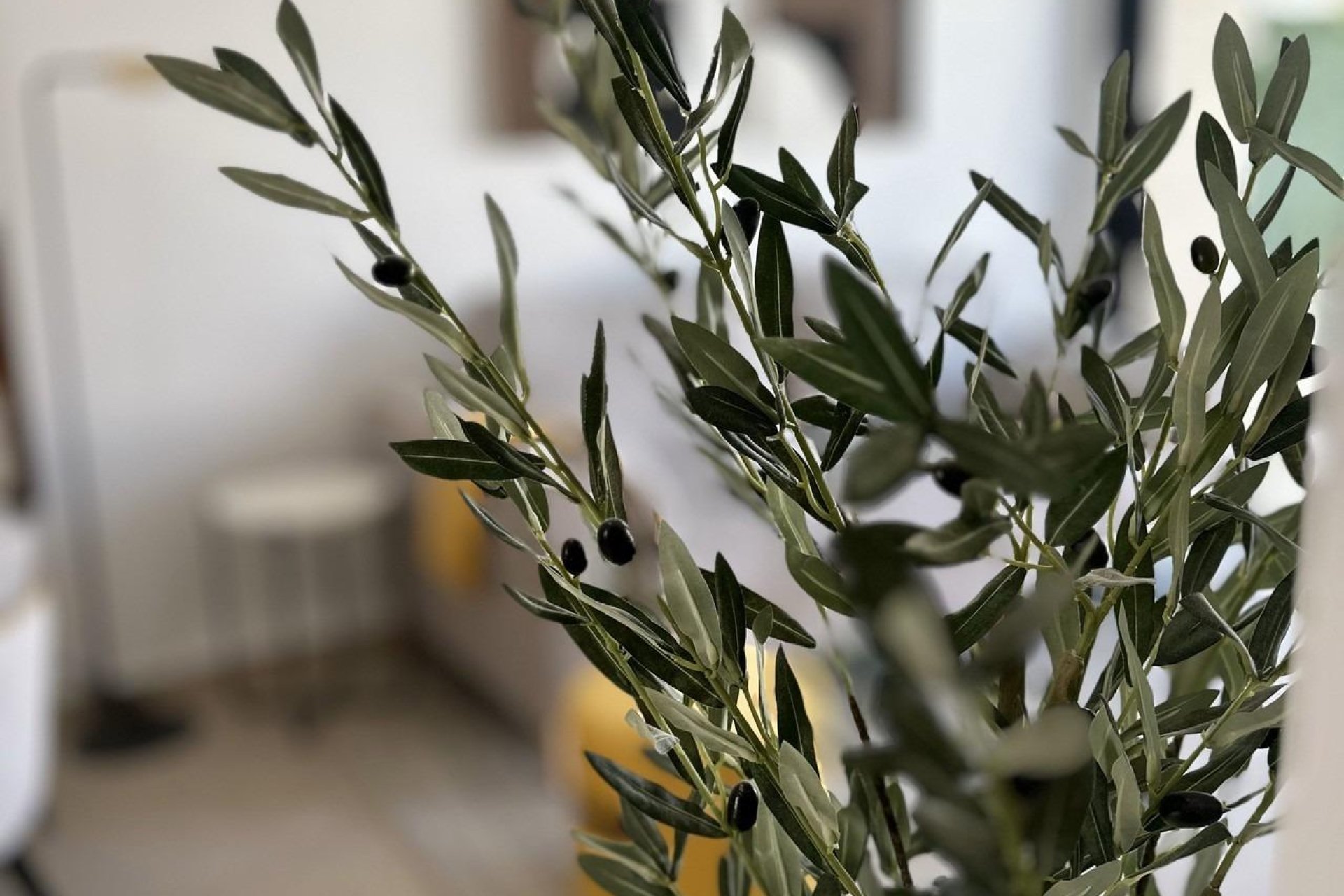 Obra nueva - Adosado - San Fulgencio - Pueblo