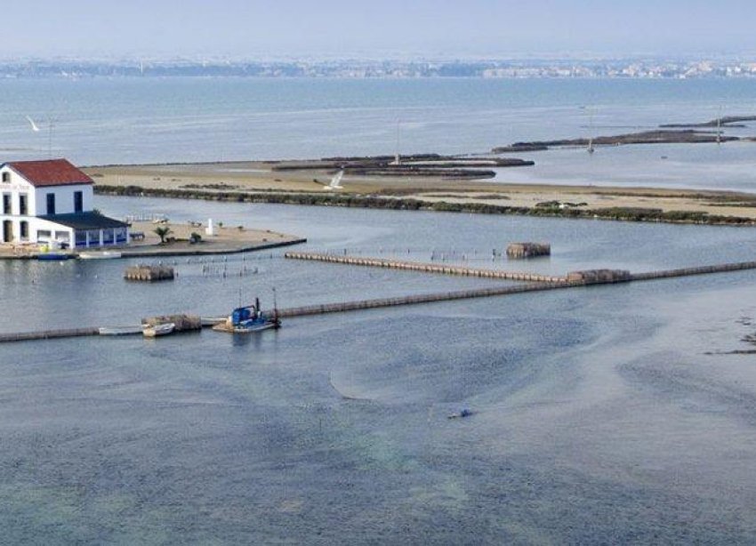 Obra nueva - Adosado - San Pedro del Pinatar - Las Esperanzas