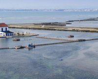 Obra nueva - Adosado - San Pedro del Pinatar - Las Esperanzas