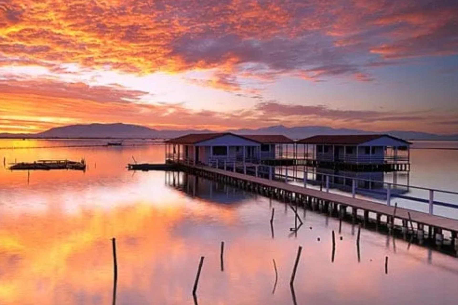 Obra nueva - Adosado - San Pedro del Pinatar - Los Pinos