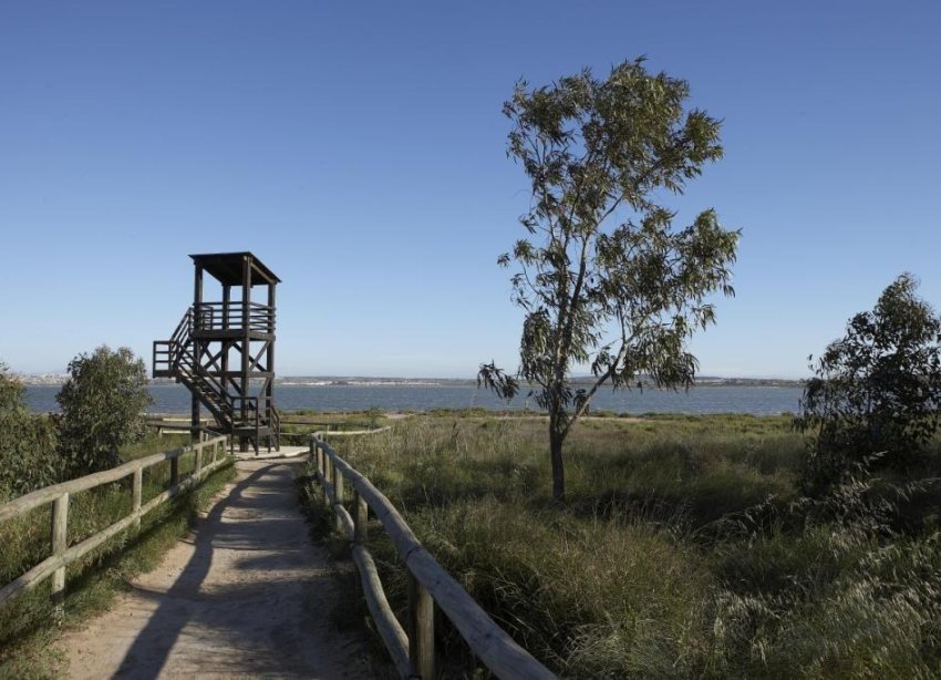 Obra nueva - Adosado - Torrevieja - Altos del Sol