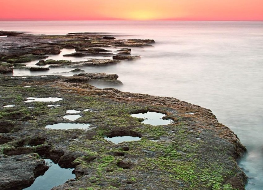 Obra nueva - Adosado - Torrevieja - Altos del Sol