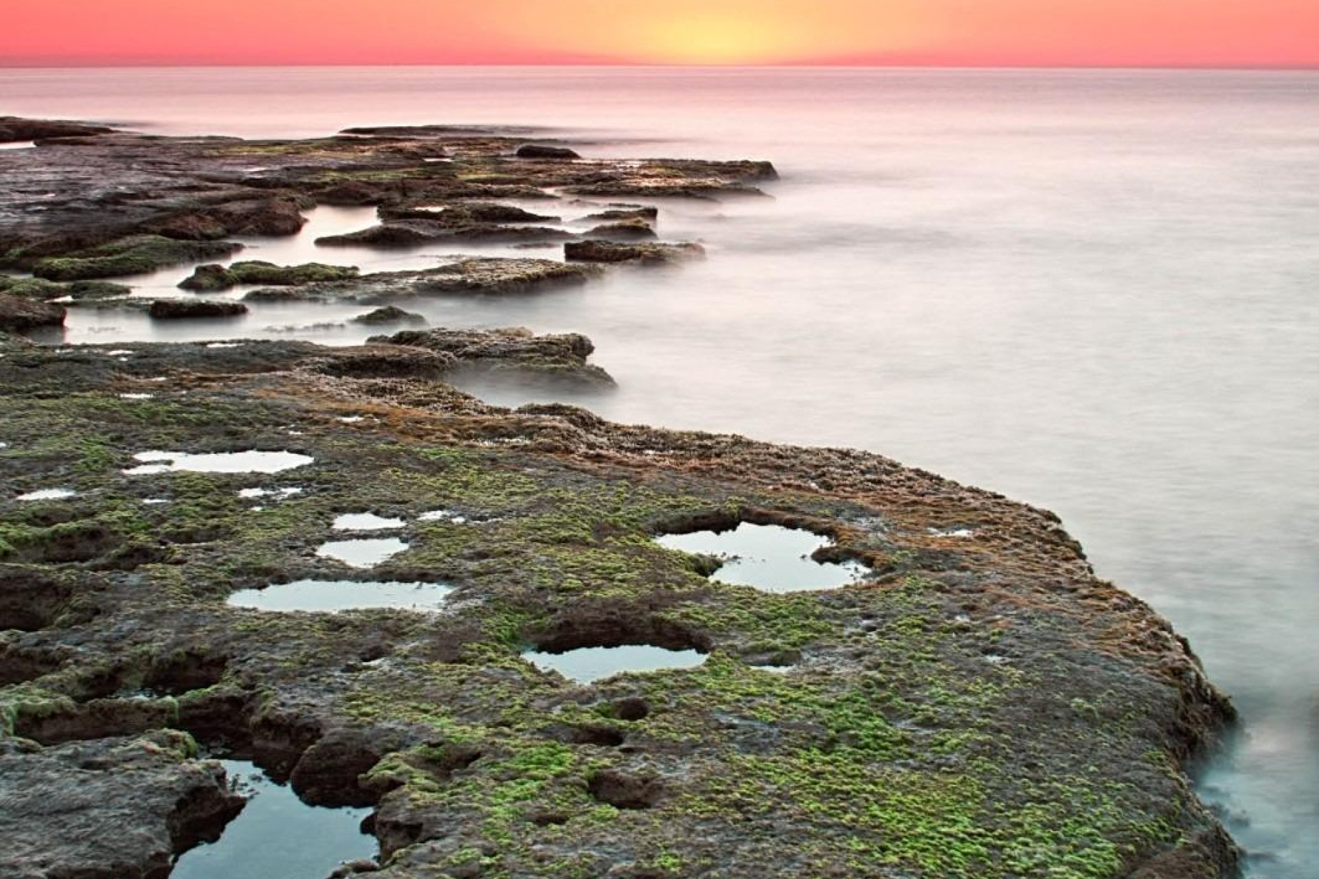 Obra nueva - Adosado - Torrevieja - Altos del Sol