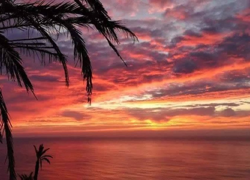 Obra nueva - Adosado - Torrevieja - Altos del Sol