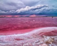 Obra nueva - Adosado - Torrevieja - Altos del Sol