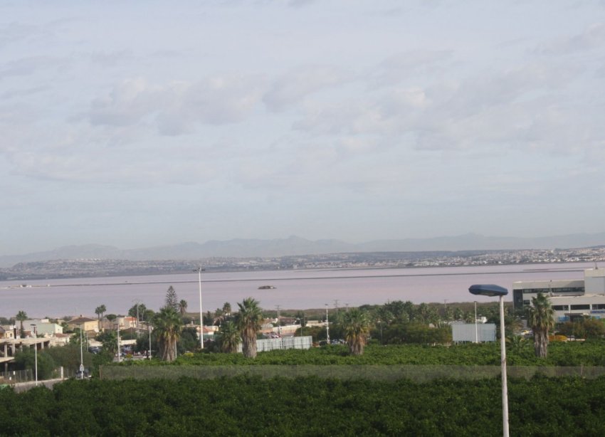 Obra nueva - Adosado - Torrevieja