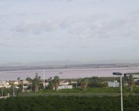 Obra nueva - Adosado - Torrevieja