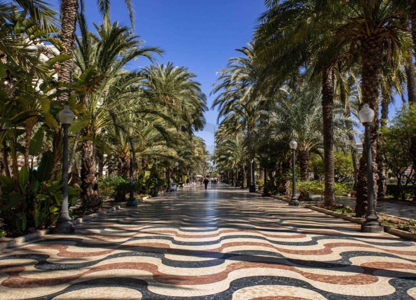 Obra nueva - Apartamento - Alicante - Centro