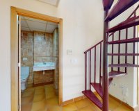 Obra nueva - Apartamento - Archena