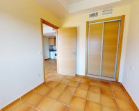 Obra nueva - Apartamento - Archena
