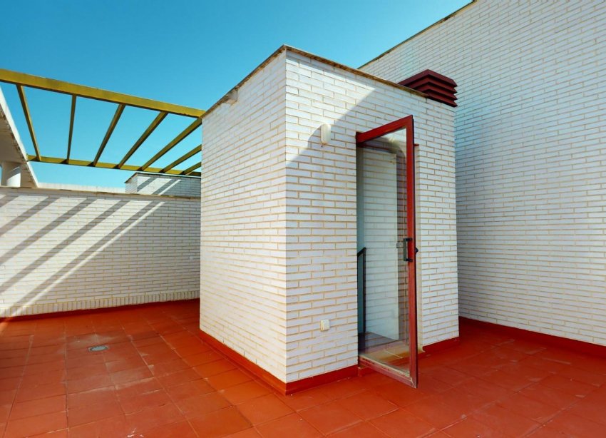 Obra nueva - Apartamento - Archena