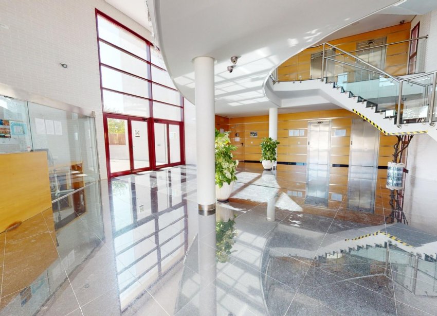 Obra nueva - Apartamento - Archena