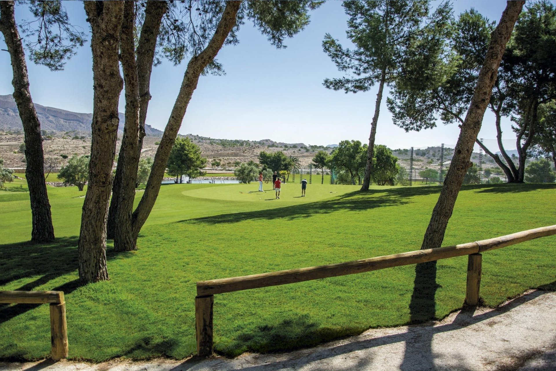 Obra nueva - Apartamento / Dúplex - Monforte del Cid