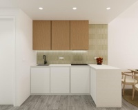 Obra nueva - Apartamento / Dúplex - Pilar de la Horadada