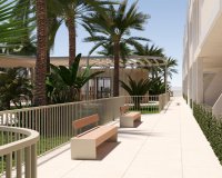 Obra nueva - Apartamento / Dúplex - Torre Pacheco
