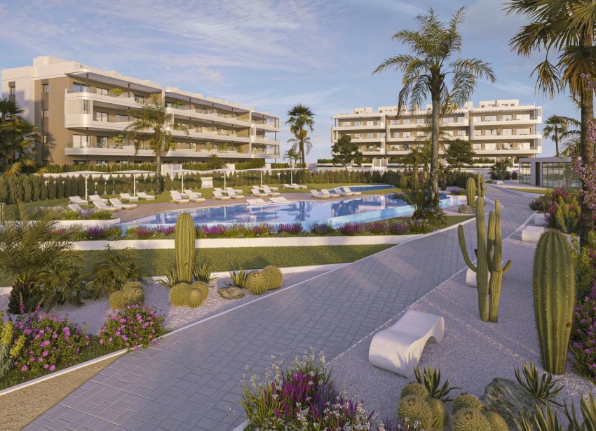 Obra nueva - Apartamento / Dúplex - Torrevieja