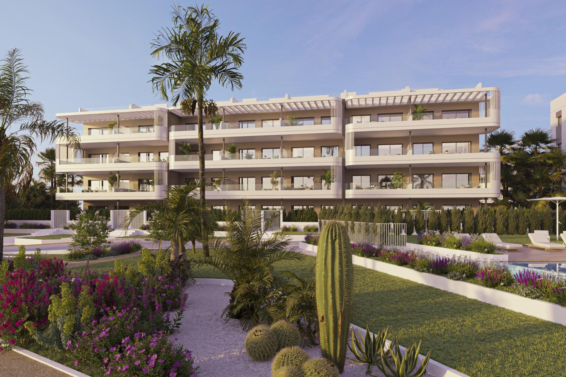 Obra nueva - Apartamento / Dúplex - Torrevieja