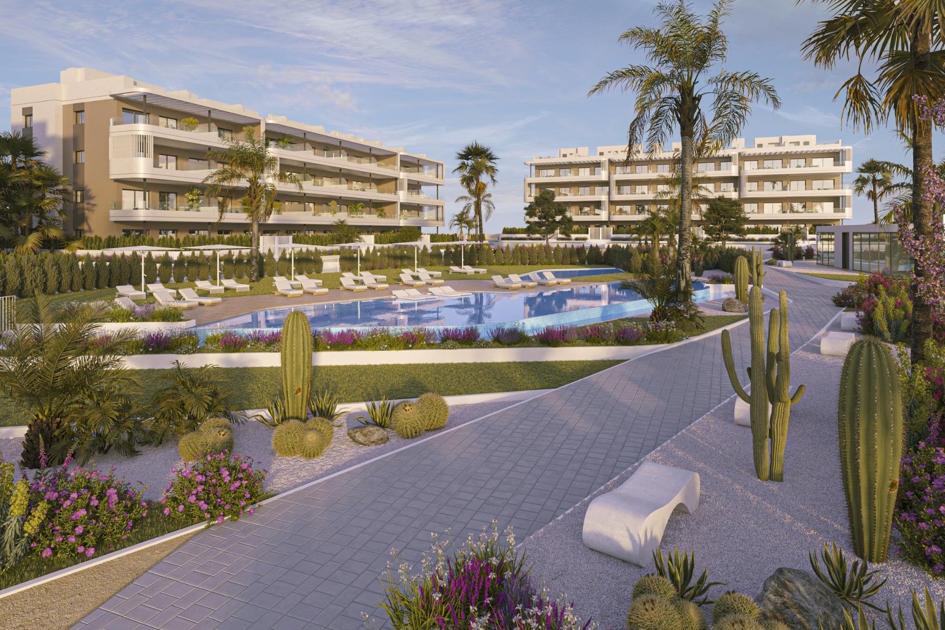 Obra nueva - Apartamento / Dúplex - Torrevieja