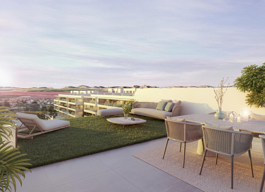 Obra nueva - Apartamento / Dúplex - Torrevieja