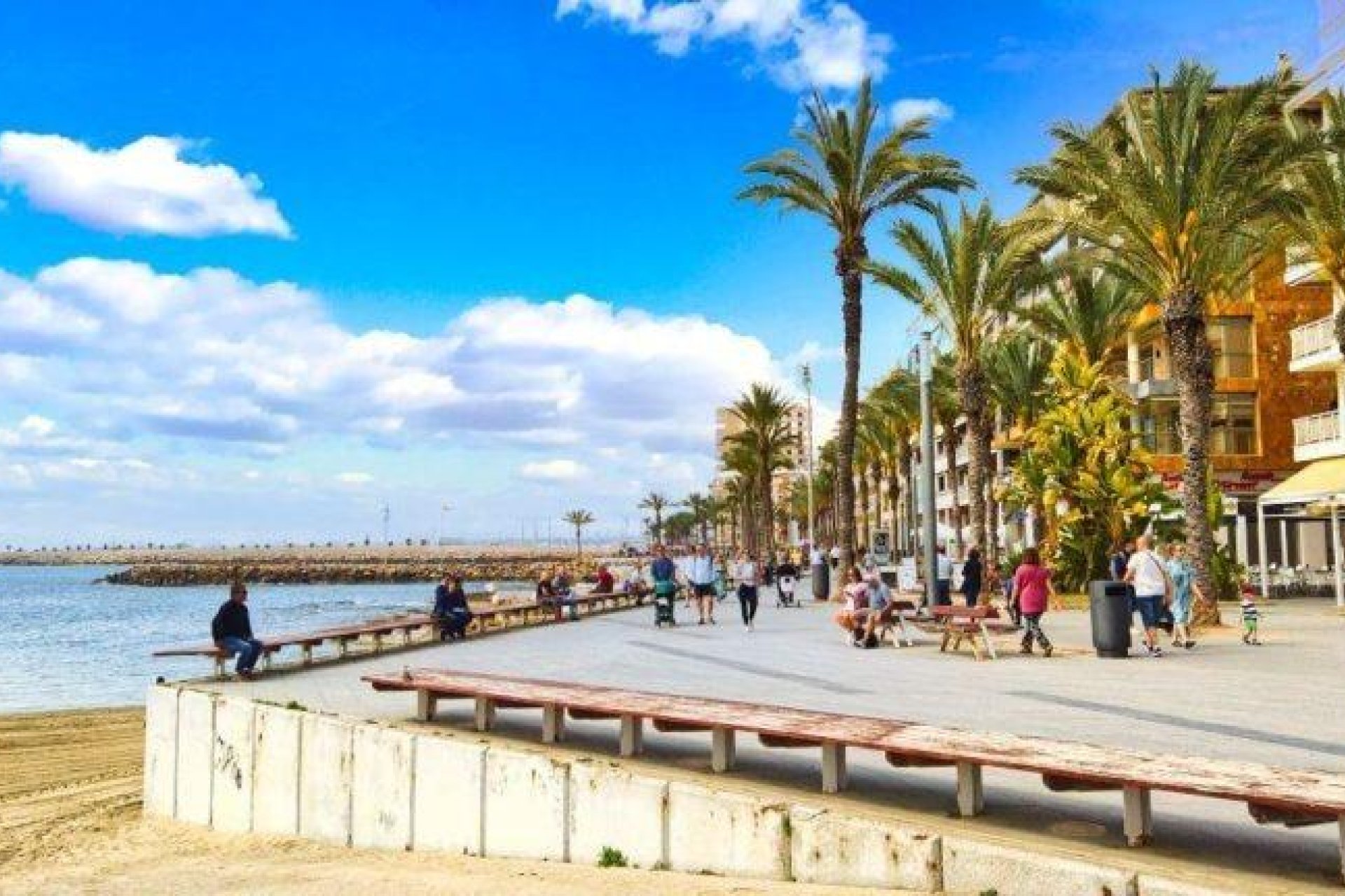 Obra nueva - Apartamento / Dúplex - Torrevieja