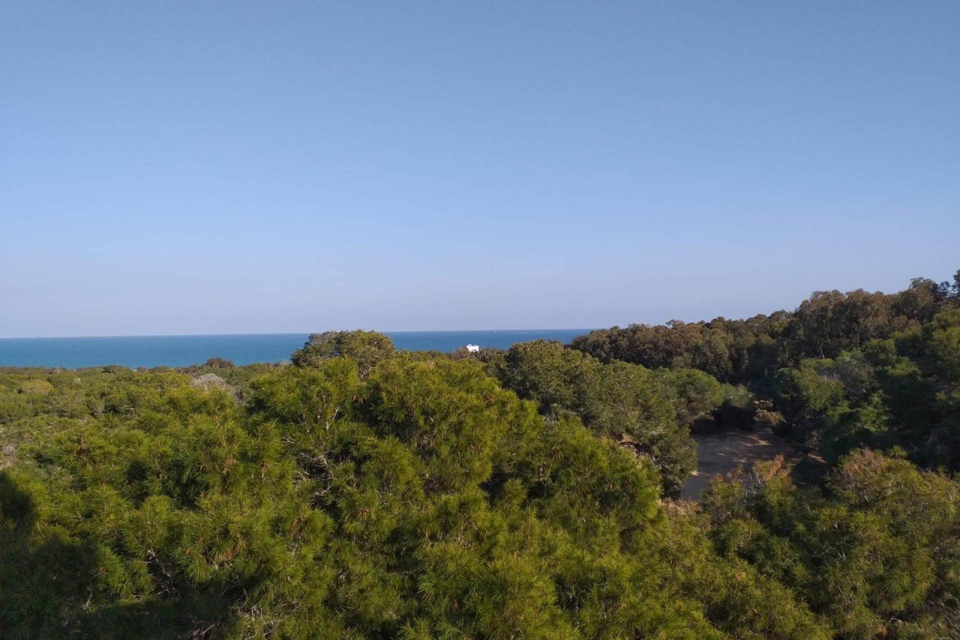 Obra nueva - Apartamento - Guardamar del Segura - Pueblo