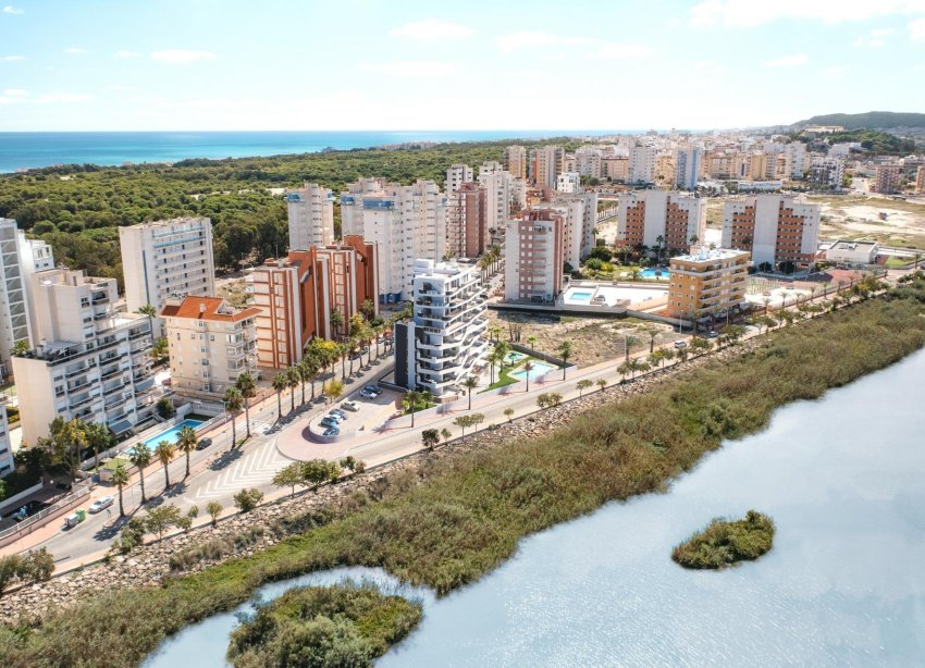 Obra nueva - Apartamento - Guardamar del Segura - Puerto