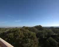 Obra nueva - Apartamento - Guardamar del Segura