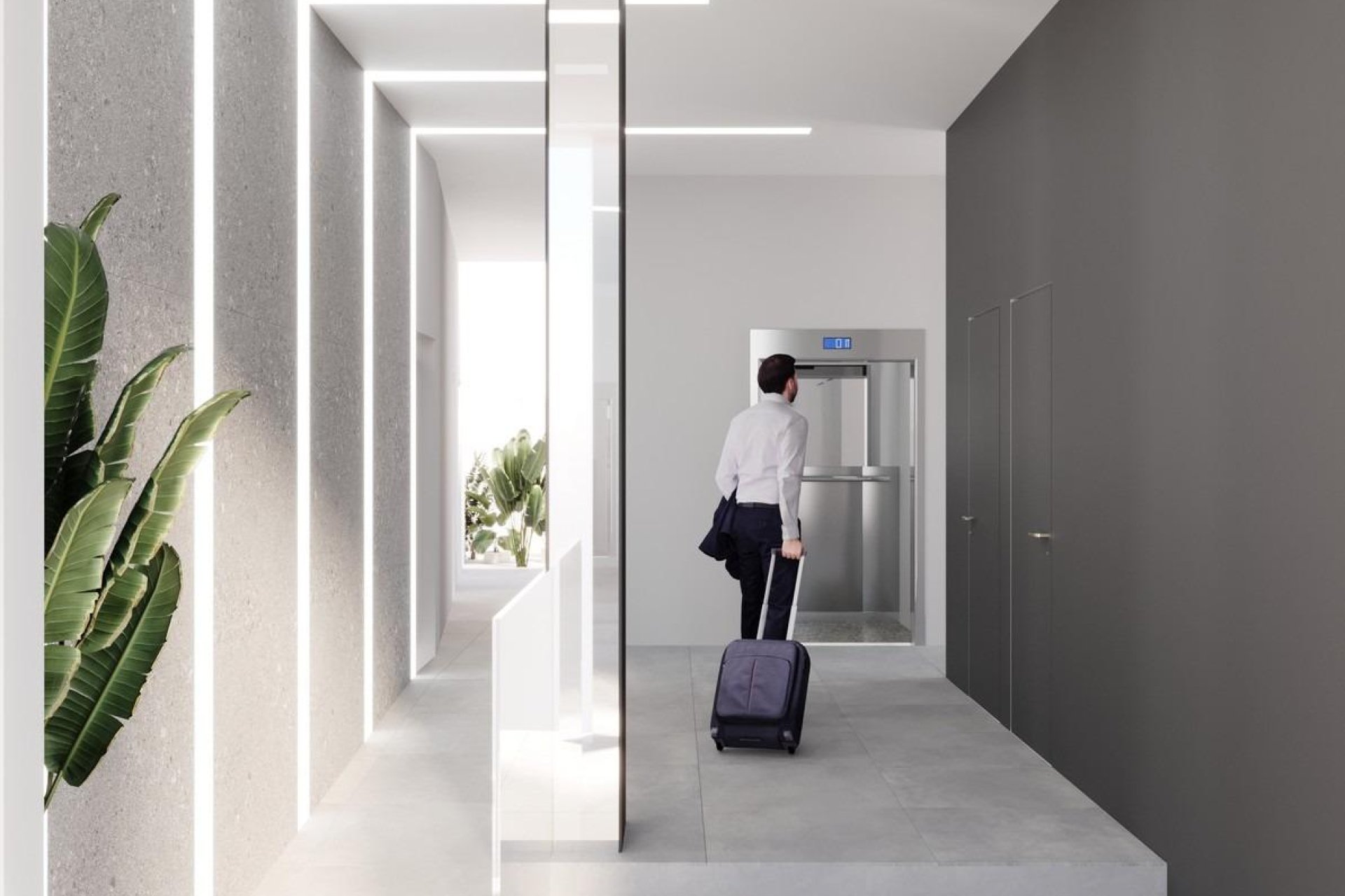 Obra nueva - Apartamento - ﻿Torrevieja (Alicante) - Torrevieja