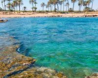 Obra nueva - Apartamento - Orihuela Costa - Punta Prima