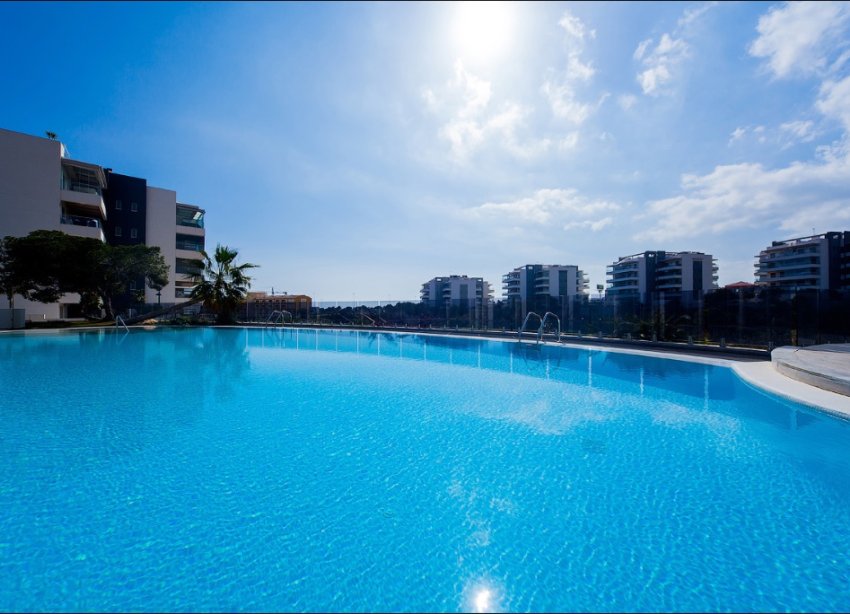 Obra nueva - Apartamento - Orihuela Costa - Villamartin