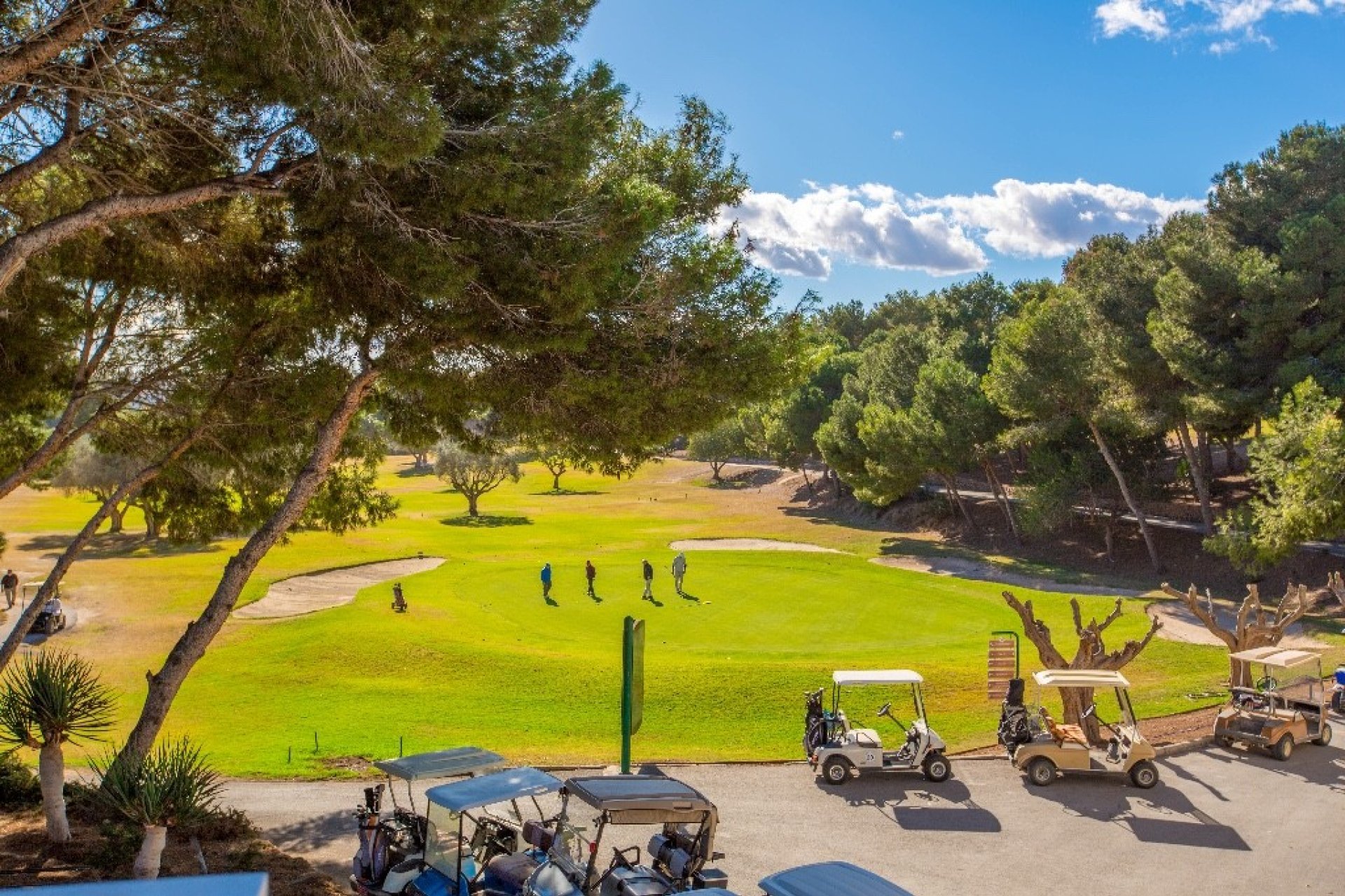 Obra nueva - Apartamento - Orihuela Costa - Villamartín