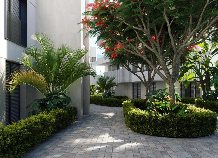 Obra nueva - Apartamento - Torre Pacheco