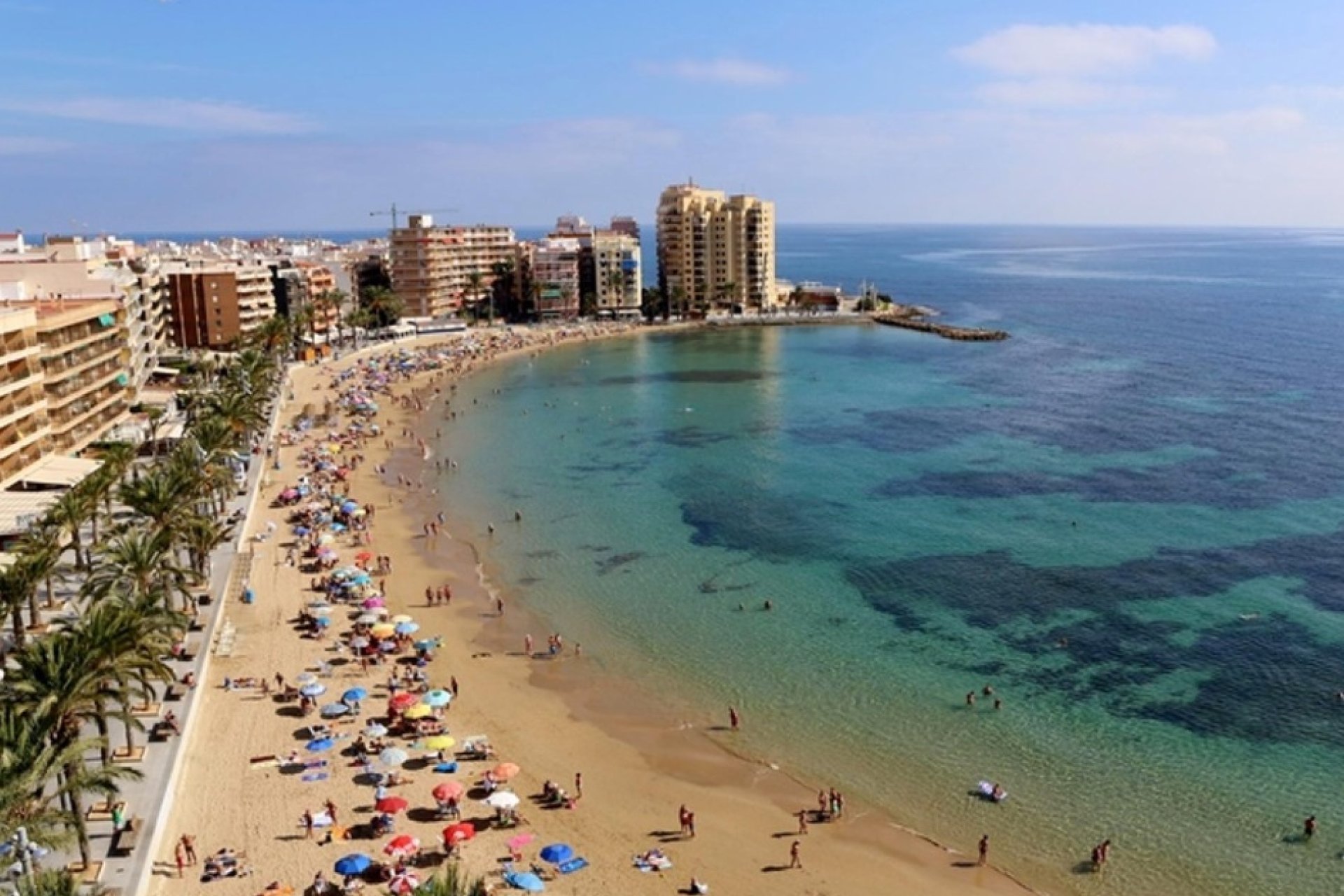 Obra nueva - Apartamento - Torrevieja