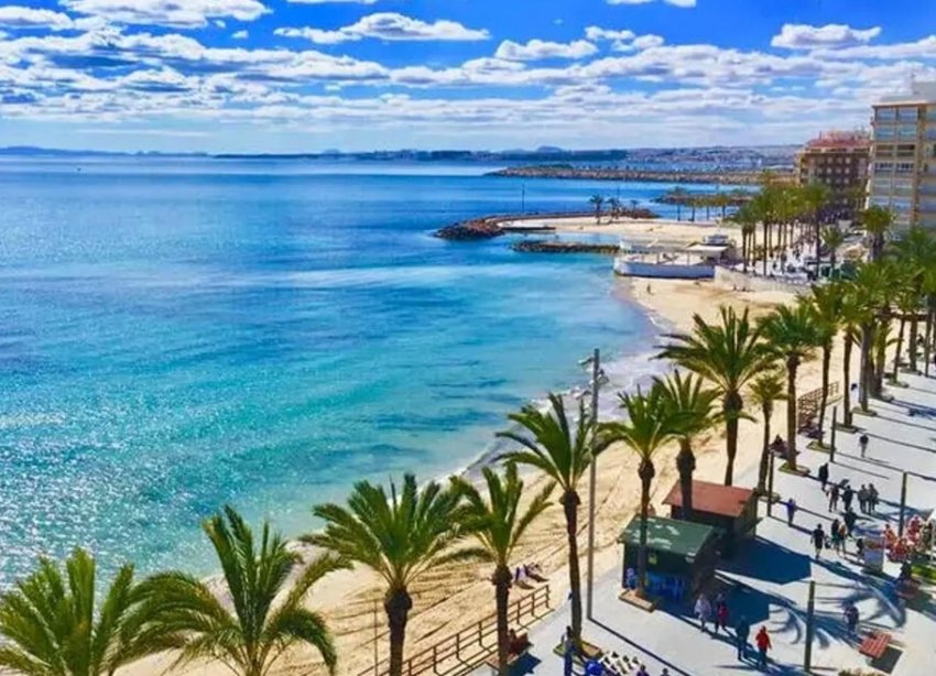 Obra nueva - Apartamento - Torrevieja