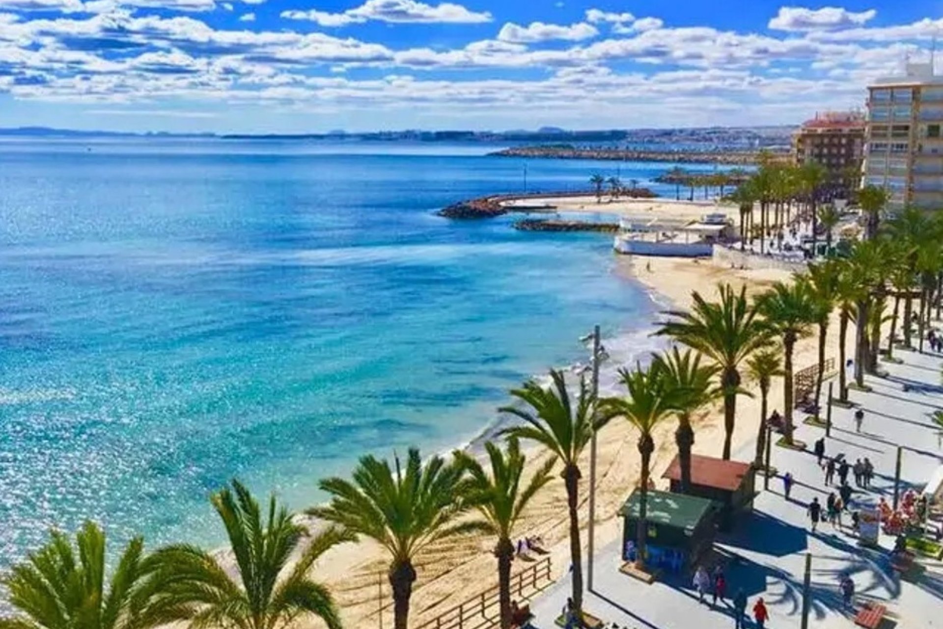 Obra nueva - Apartamento - Torrevieja