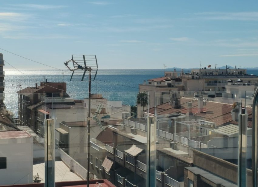 Obra nueva - Apartamento - Torrevieja