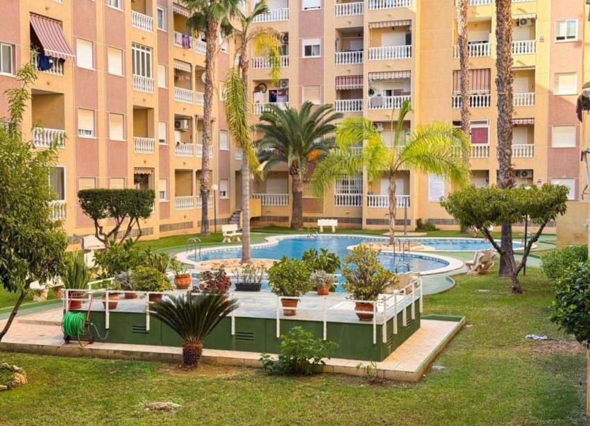 Obra nueva - Apartamento - Torrevieja