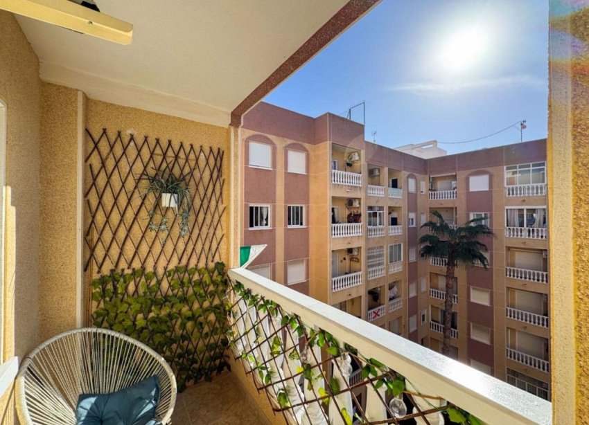 Obra nueva - Apartamento - Torrevieja