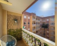 Obra nueva - Apartamento - Torrevieja