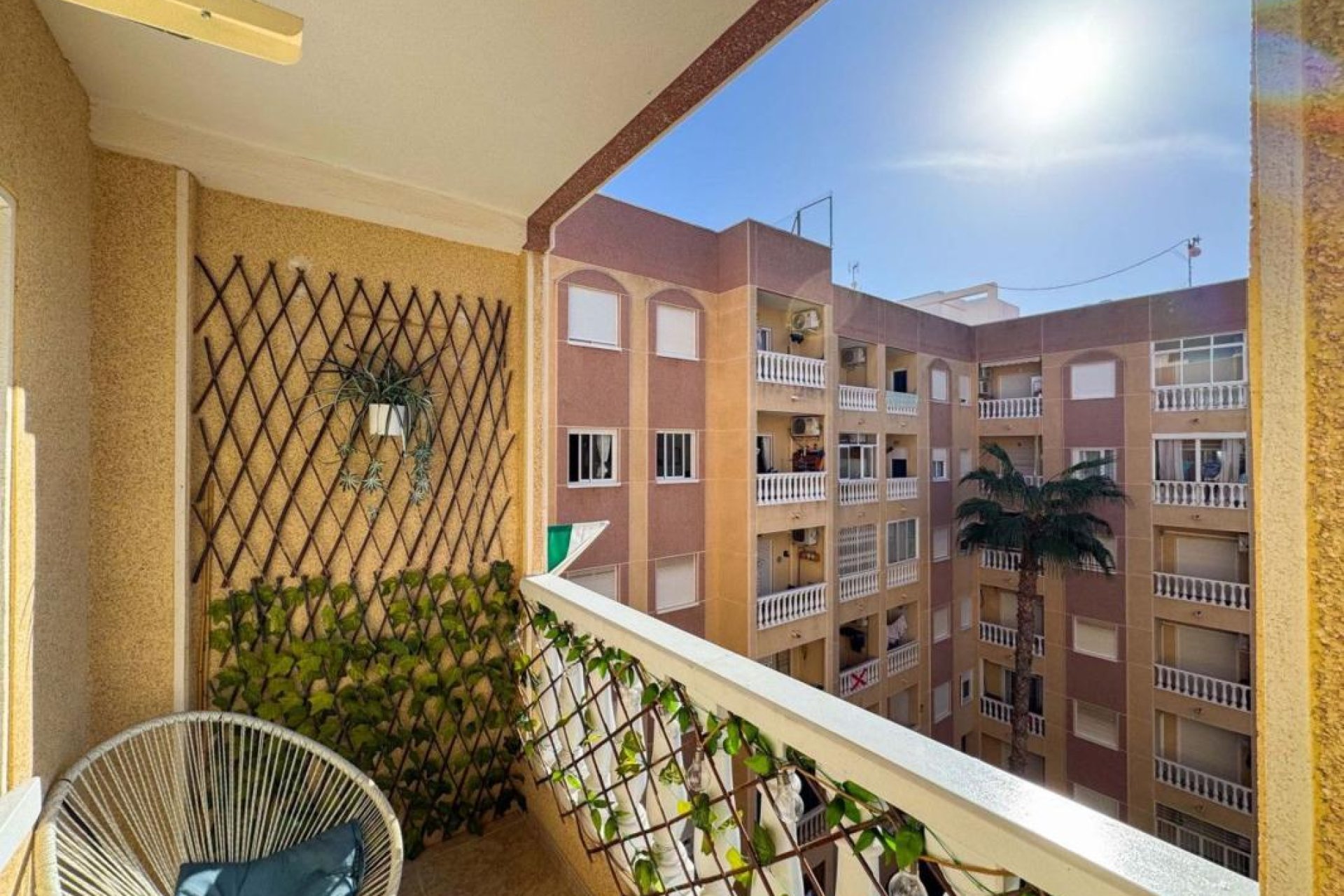 Obra nueva - Apartamento - Torrevieja