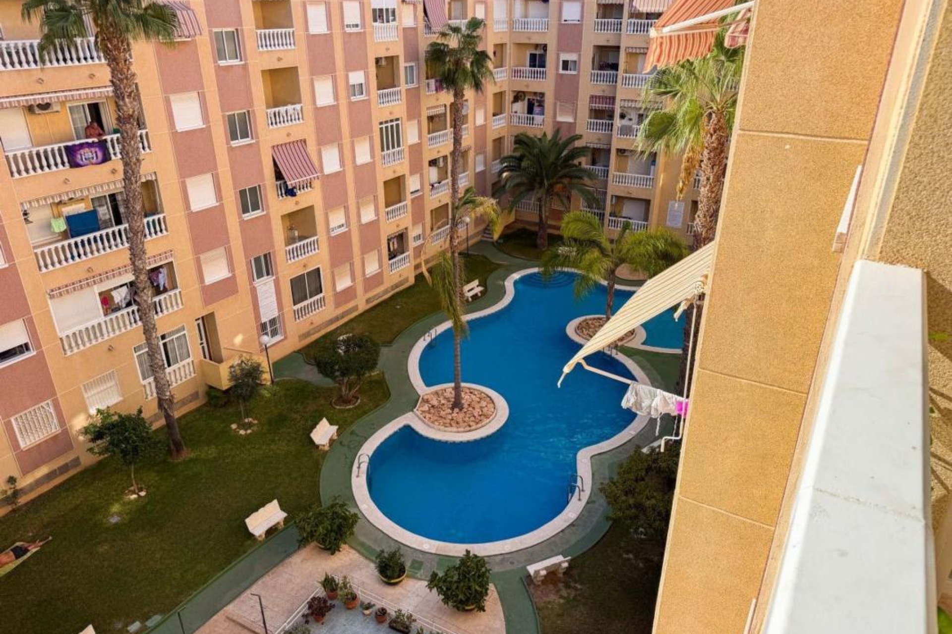Obra nueva - Apartamento - Torrevieja
