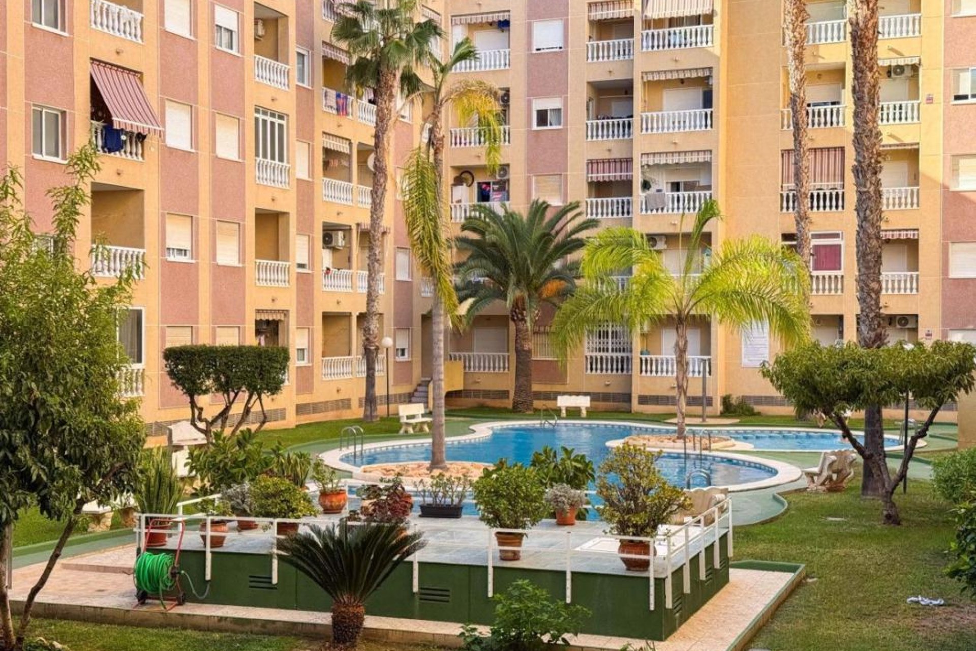 Obra nueva - Apartamento - Torrevieja