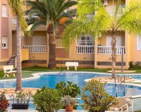 Obra nueva - Apartamento - Torrevieja