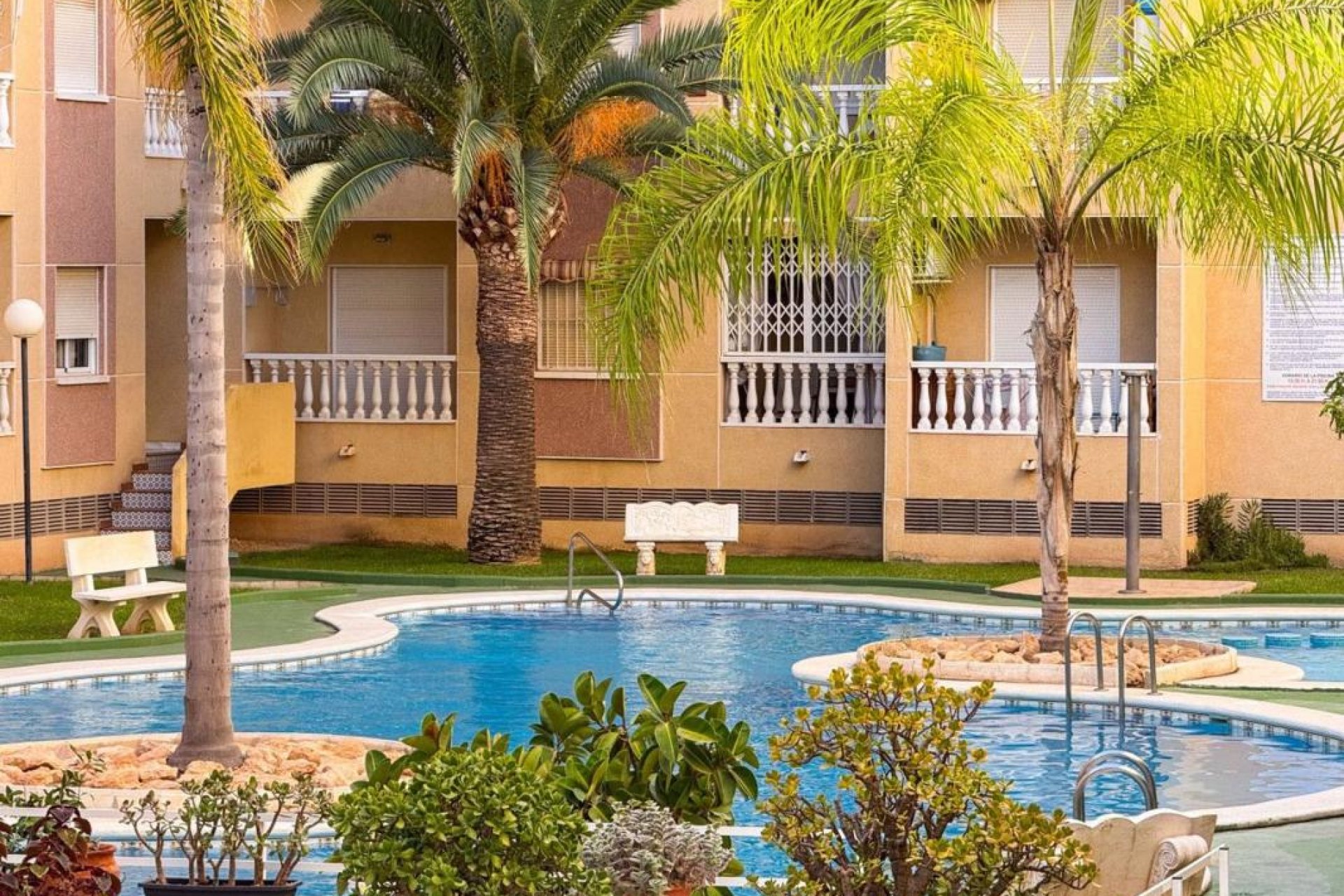 Obra nueva - Apartamento - Torrevieja