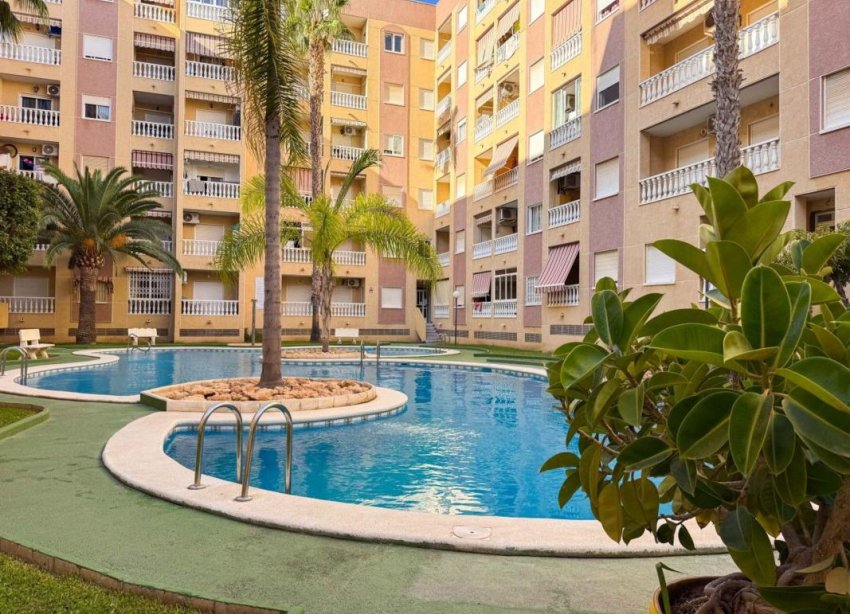 Obra nueva - Apartamento - Torrevieja
