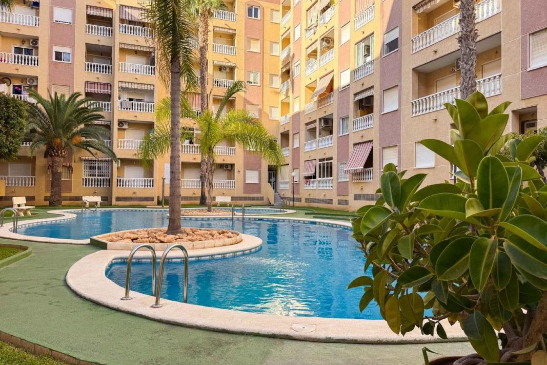 Obra nueva - Apartamento - Torrevieja