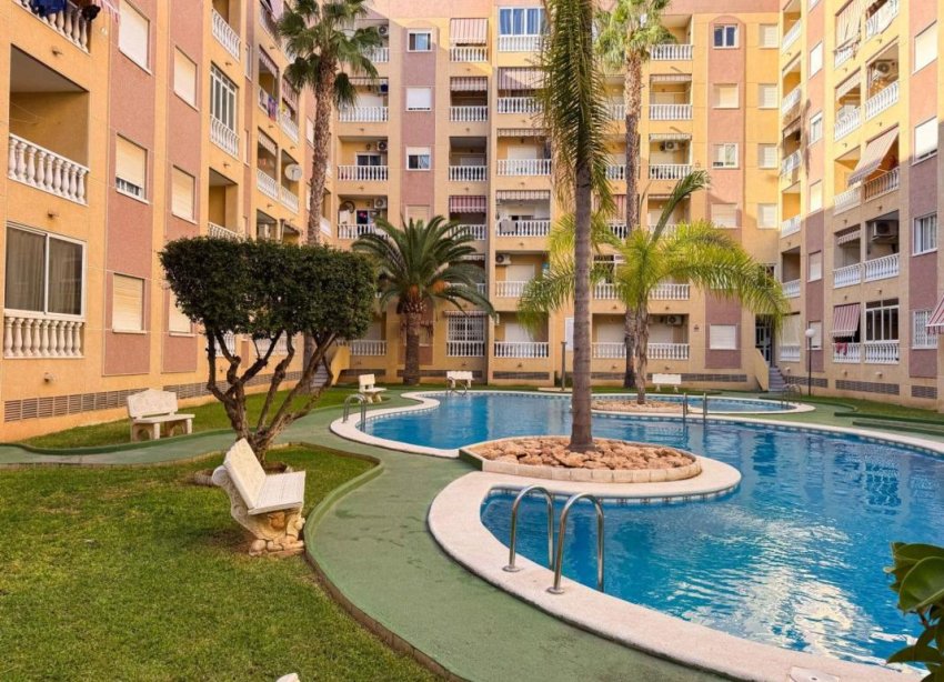 Obra nueva - Apartamento - Torrevieja