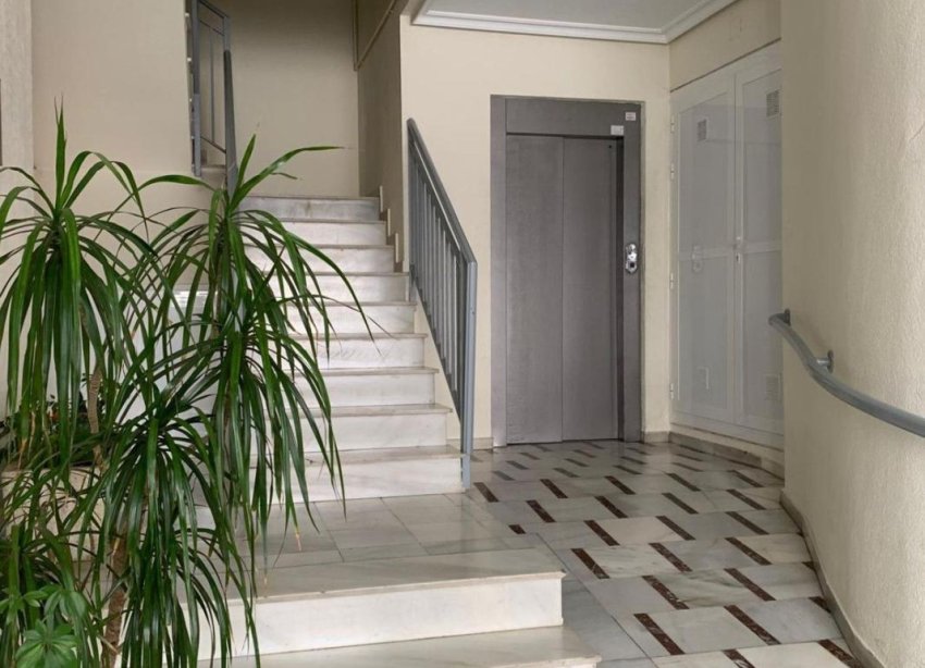 Obra nueva - Apartamento - Torrevieja