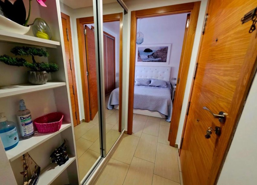 Obra nueva - Apartamento - Torrevieja