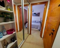 Obra nueva - Apartamento - Torrevieja